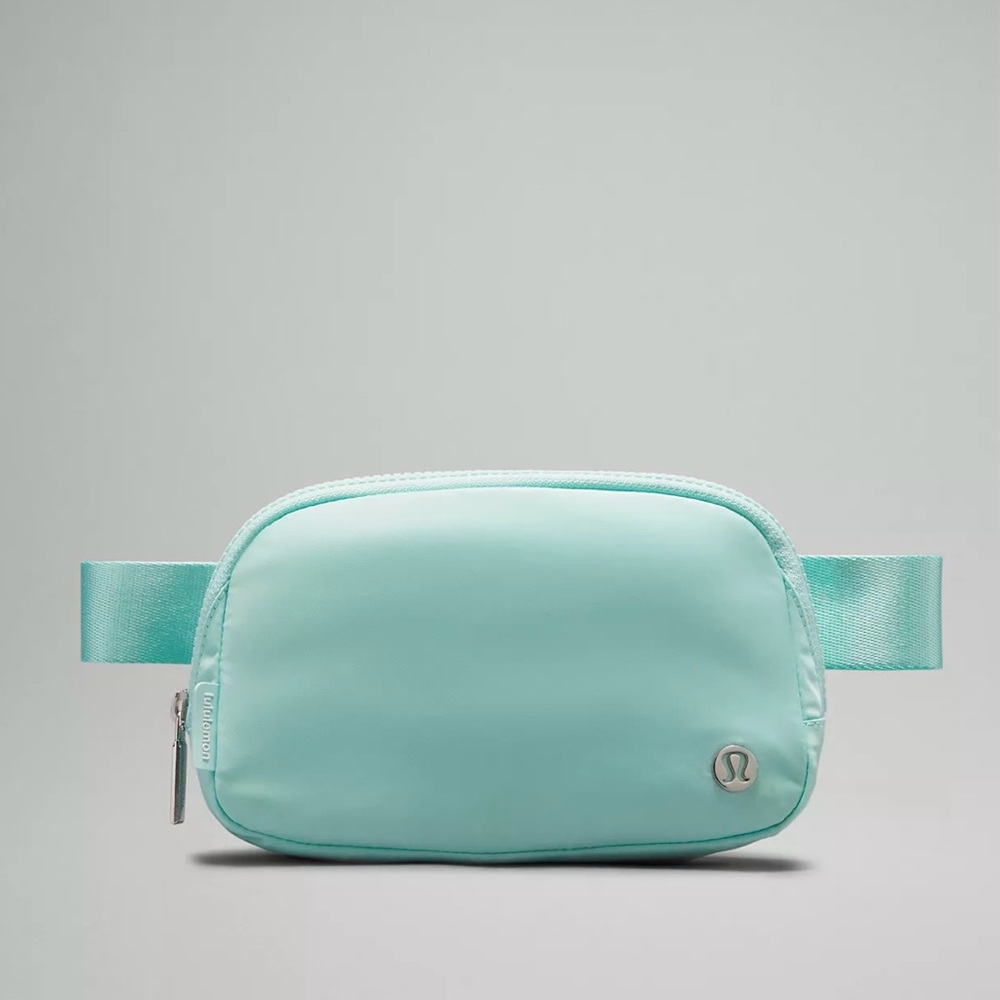 Everywhere belt bag